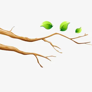 现代简约绿色树枝免抠
