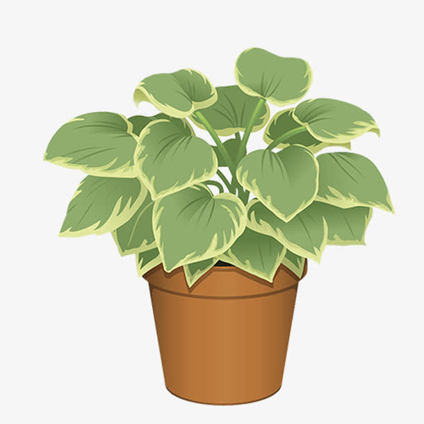 绿叶植物免抠