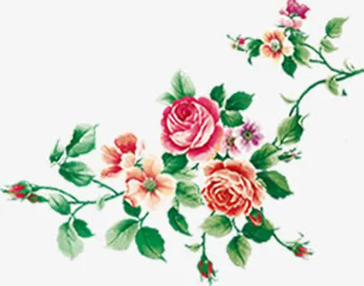 花开富贵牡丹彩绘免抠