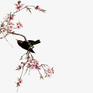 鸟在枝头免抠