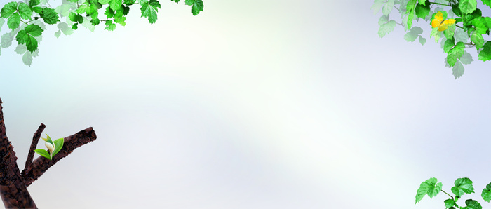 春天淘宝春季服饰清新背景banner高清