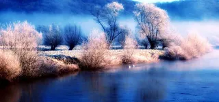 秋冬摄影雪树湖面海报banner高清