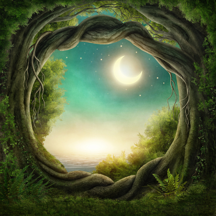 魔幻森林树洞背景高清