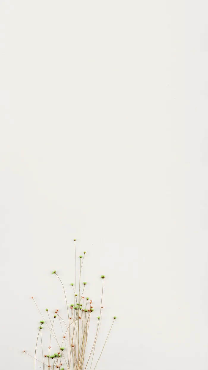 清新简约背景高清