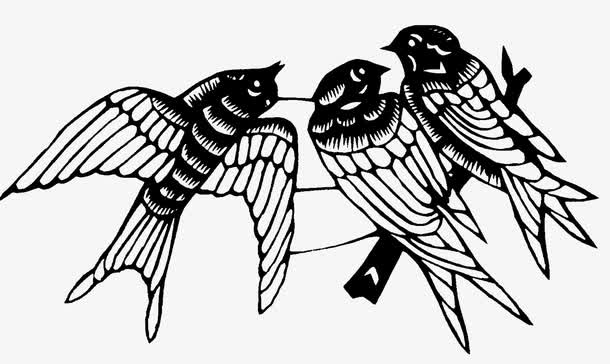 鸟免抠