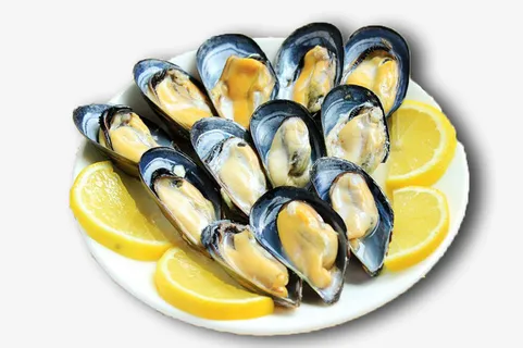 小清新青口贝摄影免抠