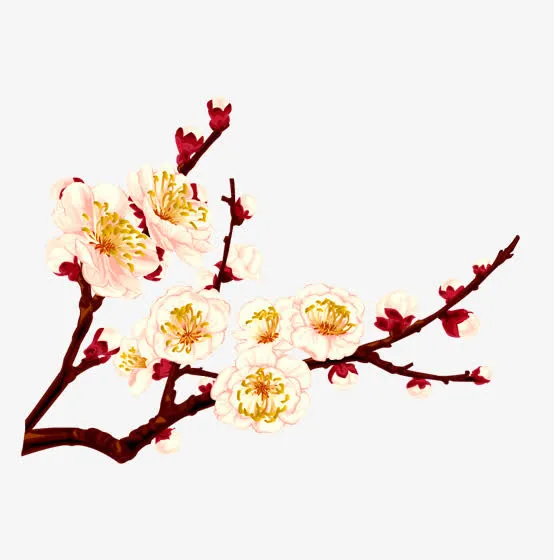 手绘山茶花树枝免抠