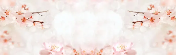 唯美桃花海报背景