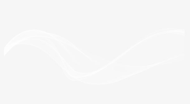 头纱png图片免抠