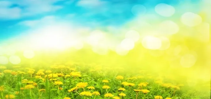 蓝天白云黄色花朵绚丽唯美渐变海报背景高清