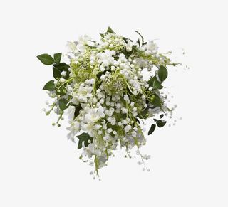 白色满天星免抠