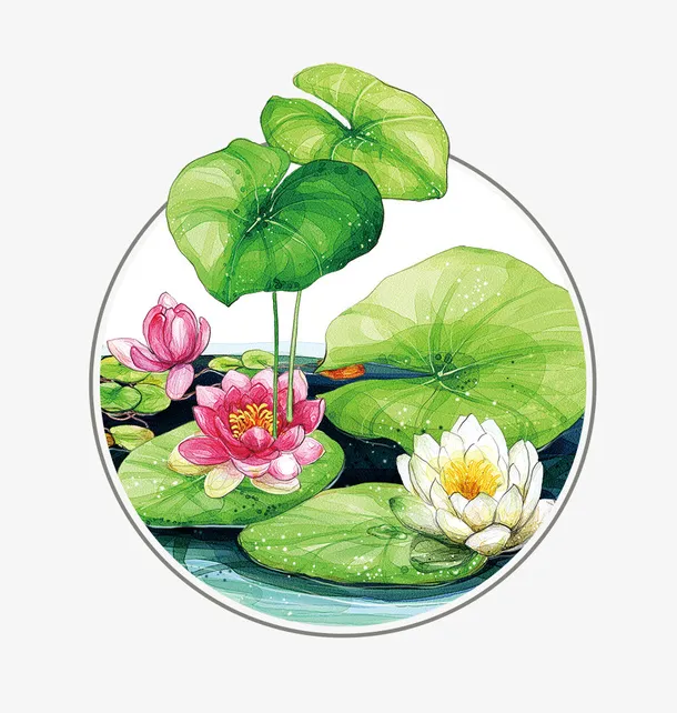水彩绘绿色荷叶荷花免抠