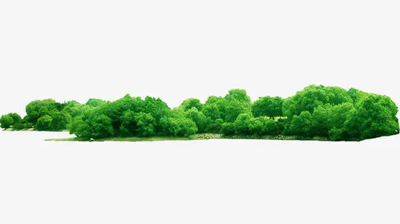 树丛免抠