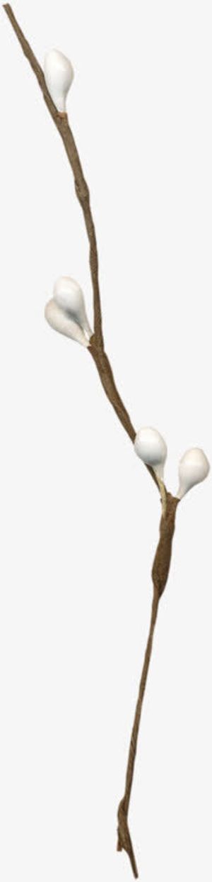 一根枯树枝免抠