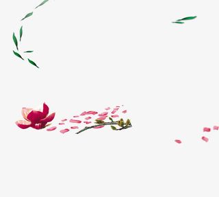 粉色花瓣免抠