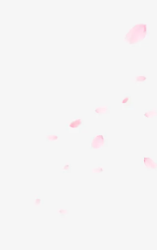 飘舞浅粉花瓣免抠