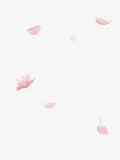 粉色花瓣元素免抠