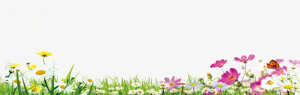 彩色春季植物小花免抠