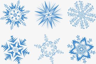 种类九雪花素材免抠