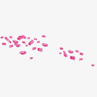 粉色飘落花瓣设计素材免抠