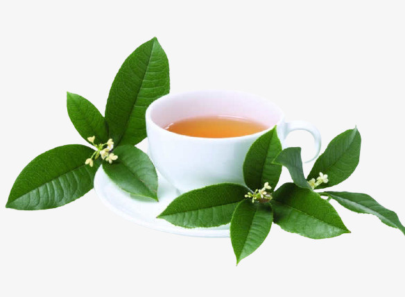 带绿叶的茶杯免抠