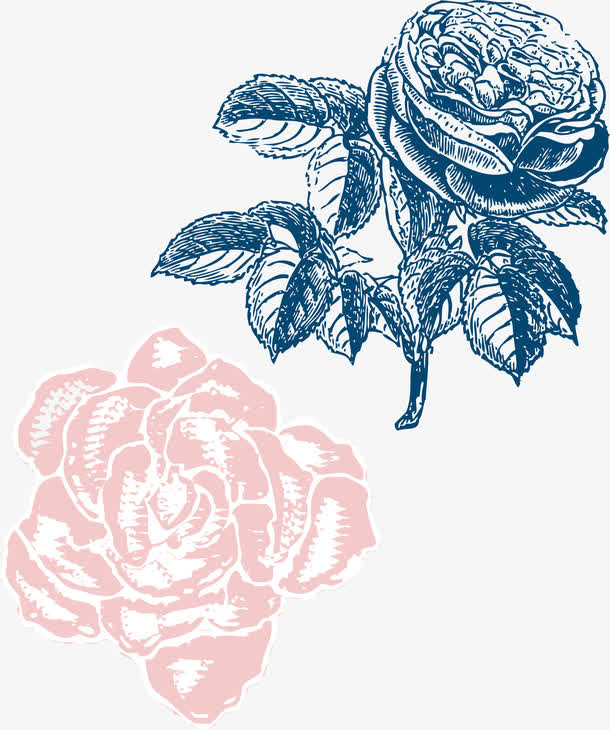 玫瑰花背景