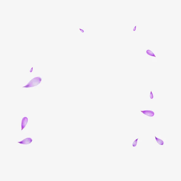 紫色清新花瓣漂浮素材免抠