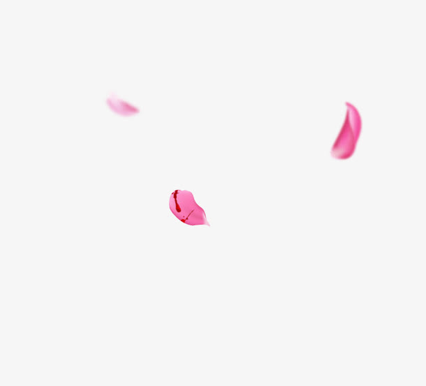 粉色玫瑰花瓣游戏装饰免抠