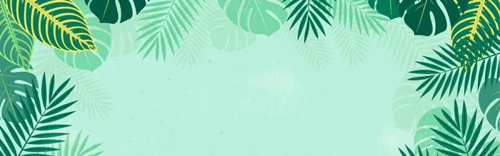 绿色树叶背景高清