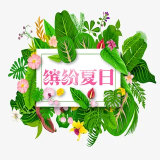 缤纷夏日免抠