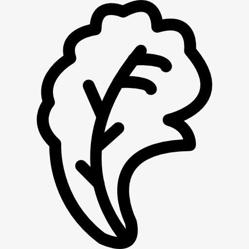 生菜图标免抠