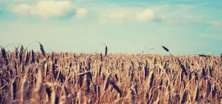 淘宝背景图高清