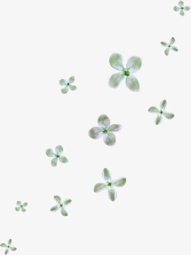 漂浮花朵免抠