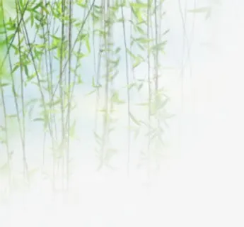 绿色垂柳杨柳免抠