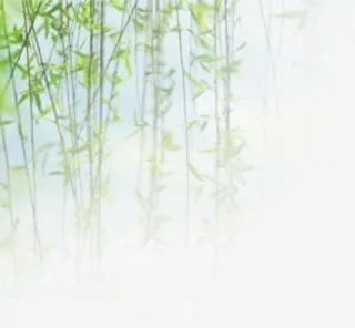 绿色垂柳杨柳免抠