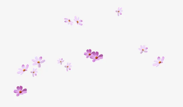 漂浮花瓣免抠