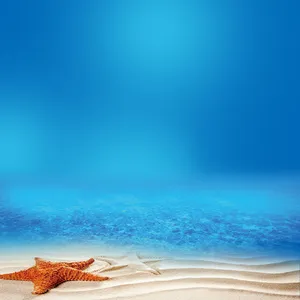 海洋风光素材模板高清