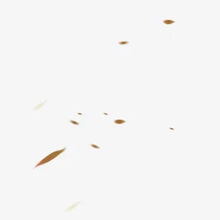 漂浮叶子免抠