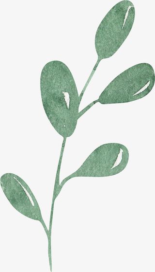 叶子装饰素材图案免抠