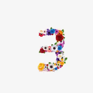 鲜花数字3免抠