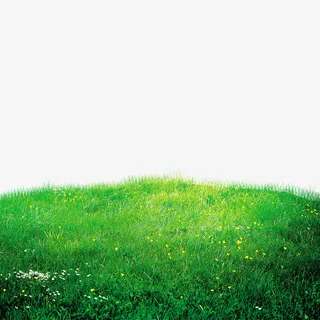 绿色草地免抠