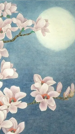 白玉兰和明月高清