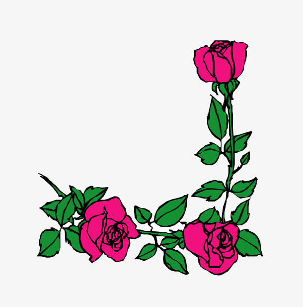 玫瑰花免抠