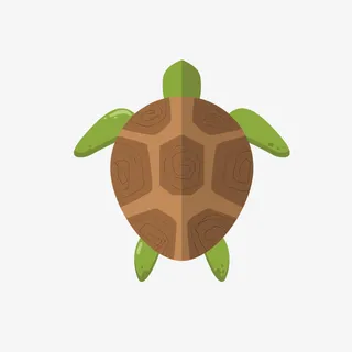 云朵纹理小乌龟免抠