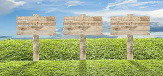 草地上的木板标识高清