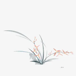 兰花 花草 植物 草叶免抠