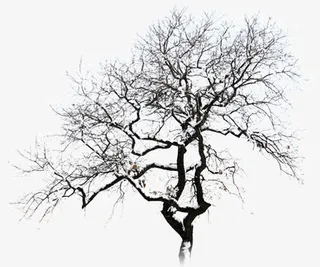 枝条冬季庭院雪景免抠