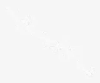 漂亮白色蝴蝶免抠