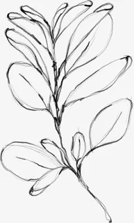 水墨花朵元素40免抠