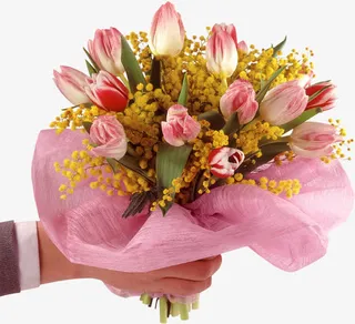 郁金香花束免抠